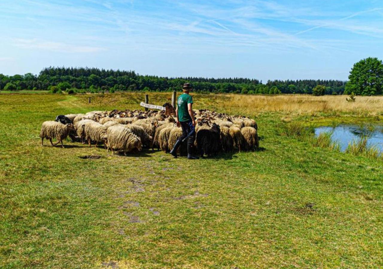 Mini Camping Drentse Monden Nieuw-Weerdinge Εξωτερικό φωτογραφία